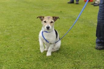 35 jaar MVSB 3 juni 2012