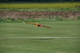 scherend over het veld