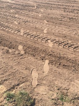 De eerste voetstappen