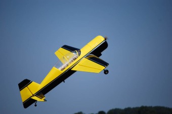 Fly-in 2010