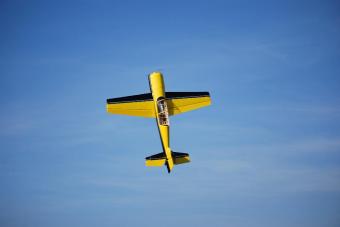 Fly-in 2010