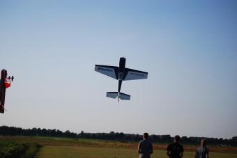 Fly-in 2010