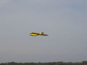 grote serval in flight, beter dan verwacht vloog hij.