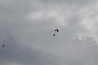 Ad ging voor het lint