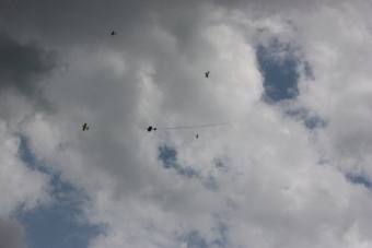 Serval team op bezoek bij MVC Berlicum