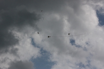 Serval team op bezoek bij MVC Berlicum