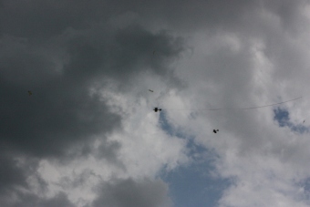 Serval team op bezoek bij MVC Berlicum