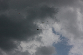 Serval team op bezoek bij MVC Berlicum