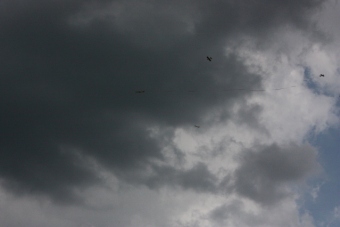 Serval team op bezoek bij MVC Berlicum