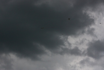 Serval team op bezoek bij MVC Berlicum