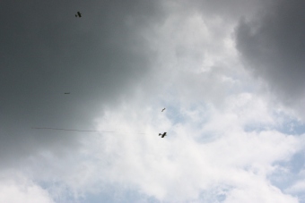 Serval team op bezoek bij MVC Berlicum