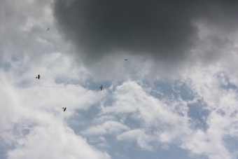 Serval team op bezoek bij MVC Berlicum