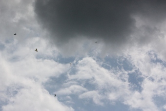 Serval team op bezoek bij MVC Berlicum
