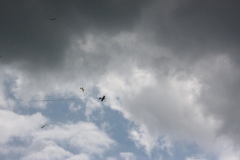 Serval team op bezoek bij MVC Berlicum