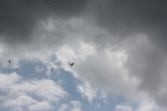 Serval team op bezoek bij MVC Berlicum