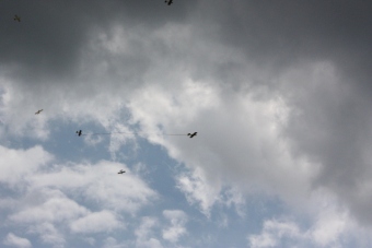 Serval team op bezoek bij MVC Berlicum