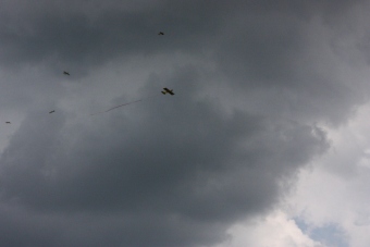 Serval team op bezoek bij MVC Berlicum