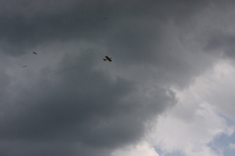 Serval team op bezoek bij MVC Berlicum