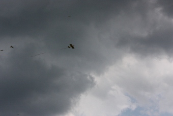 Serval team op bezoek bij MVC Berlicum