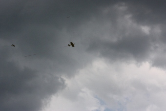 Serval team op bezoek bij MVC Berlicum