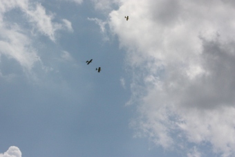 Serval team op bezoek bij MVC Berlicum