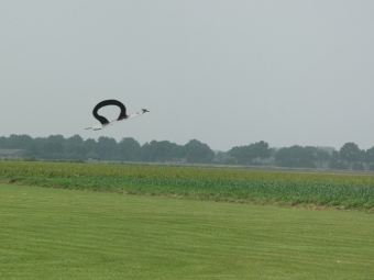 Vliegshow 30 jaar MVSB